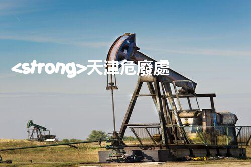 <strong>天津危廢處理公司排名前十名名單如何安全處理危險廢棄物？</strong>